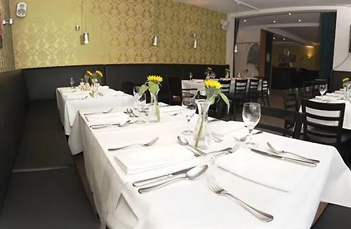 Dk Hotel Heidelberg 3*,